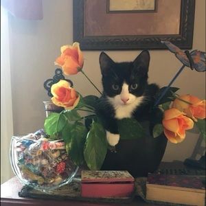 Meet your Posher, Maria